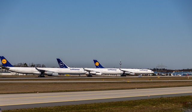 Billige flüge im vergleich: Diese airlines bieten echte schnäppchen