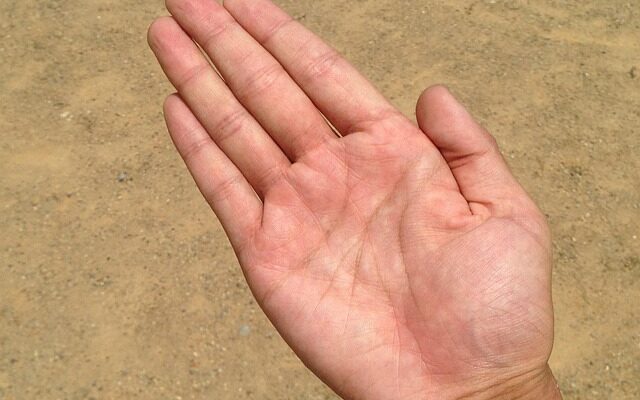 Blodets vej: Et kig ind i kroppens transportsystem