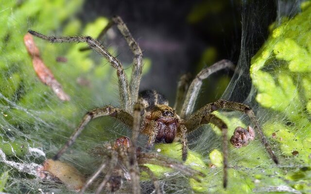 Fem uventede måder at bruge rester på i hverdagsmaden